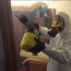Уничтожение клопов в квартире. Кратово